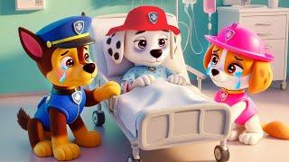 MARSHALL Is Really Sick?! Please Don't Give Up!! Sad Story | Paw Patrol Ultimate Rescue | Rainbow 3