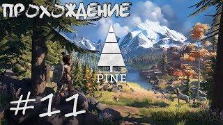 Pine  #11  Королевское золото. Великий ляп. Плевуны.