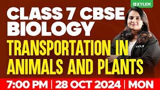 Class 7 CBSE Biology - Transportation In Animals And Plants | Xylem Class 7 CBSE