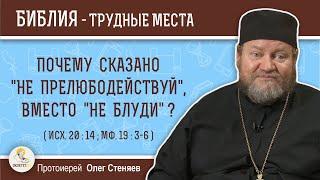 Почему сказано "не прелюбодействуй", вместо "не блуди" (Исх. 20:14)  Протоиерей Олег Стеняев