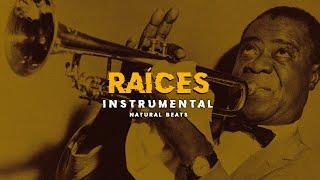 PISTA DE RAP - RAÍCES - INSTRUMENTAL DE HIP HOP SOUL  2024 - NATURAL BEATS