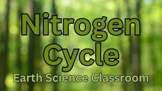 Detailing The Nitrogen Cycle