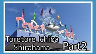 Toretore Ichiba Shirahama / Wet Market in Japan #wetmarket #ichiba #shirahama