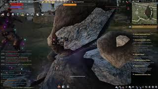 Black Desert Трусливый Бхег фарм разломов