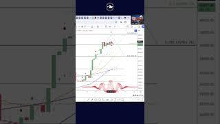 Scary or not these Bitcoin charts?! Matt & Tone's Daily High Show#bitcoin #tradingstrategy #trading