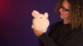 Folkmanis® White Bunny Rabbit Puppet Demo