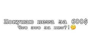 ПОКУПАЮ ПЕТА ЗА 600$! | ЧТО ЭТО ЗА ПЕТ?! | Sonixx | ПОКУПАТЬ СТРАУСА ЗА 1300$? #адоптми #роблокс