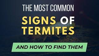 Common Signs of Termites - How to find an Infestation (and save money!)