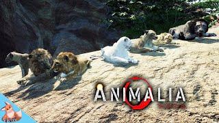 Lion pride taking over the savannah in Animalia Survival