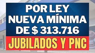  NUEVA MINIMA DE $313.716 + BONO Y CAMBIOS LEY DE MOVLIDAD | MEDIDAS de MILEI  JUBILADOS Y PNC