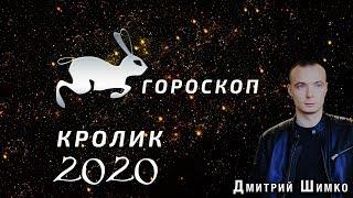 Гороскоп Кот/Кролик -2020. Астротиполог, Нумеролог - Дмитрий Шимко