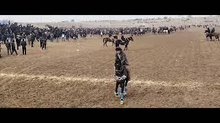 OXIR OXIR... SAMARQAND URGUT G'OS SHERALI AKA KO'PKARISI 15.01.2025