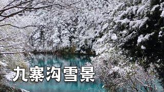 九寨沟去赏秋，第一天就遇到了一场大雪，宛如仙境一般【行走世界的北京老刘】