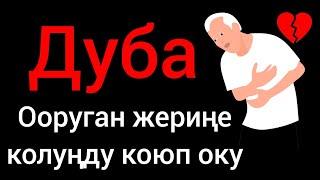 ПАЙГАМБАРЫБЫЗ ҮЙРӨТКӨН ДУБА