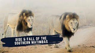 STORY OF SOUTHERN MATIMBA MALE LIONS - THE LEGENDARY COALITION OF MALE LIONS THAT DEFIED ALL ODDS