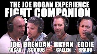 Joe Rogan Experience - Fight Companion - June 3, 2017