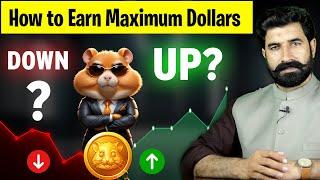 How to Earn Maximum Dollars | Hamster Kombat New Update | Hamster Kombat Token Transfer | Albarizon