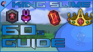 King Slime DEATH EXPERT MODE | 60 Second Guide