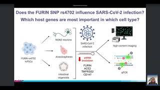 Kristina Dobrindt, PhD: Common human genetic variation impacts in vitro susceptibility to SARS-CoV-2