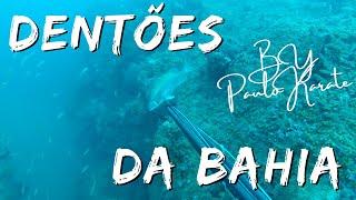 PESCASUB | SPEARFISHING - Dentões da Bahia