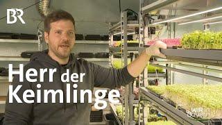 Miniaturgemüse: "Microgreens" aus Oberfranken | Wir in Bayern | BR