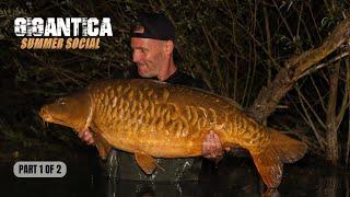 Pecky's Gigantica Social 2024 | Part 1 of 2, Extract