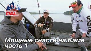 LIVE REPORTS: День тишины. Мощные снасти. Второй этап турнира Pro Anglers League 2019