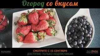 Огород со вкусом. Хотите знать больше? Полезные обзоры