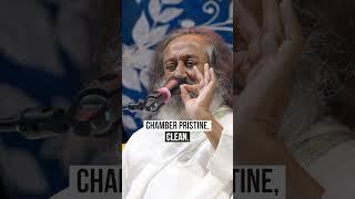 Your Next Life | Gurudev