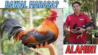 Kelan Bawal Mabasa Ng Ulan At Kelan Pwede