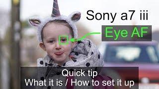 Sony a7 iii quick tip - Eye AF - What it is / How to set it up.