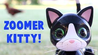 Zoomer Kitty Spinmaster Unboxing- Kitty Tries to Catch a Chicken