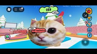 котик play играет в игру мить капибар