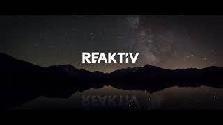 REAKTIV LLC - consultancy, technology, data services