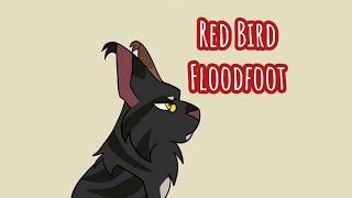 Red Bird Meme- Floodfoot Warrior Cats OC