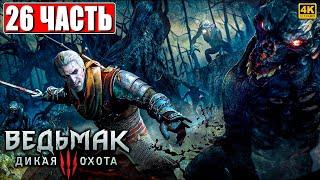 ПОЛНОЕ ПРОХОЖДЕНИЕ ВЕДЬМАК 3 RTX [4K]  Часть 26  The Witcher 3 Wild Hunt На Русском  На ПК