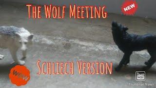 Twilight Wolves In Schleich Version|The Wolf Meeting