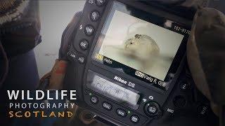 PHOTOGRAPHING MOUNTAIN HARES part 1 | Wildlife photography in Scotland - behind the scenes vlog