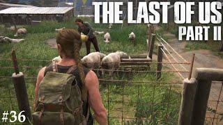 [Last of Us Part II] - [36] Das ganze Stadion?
