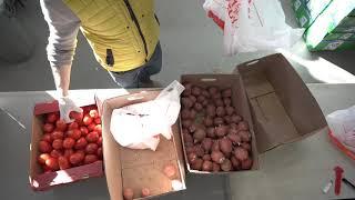 Honda Canada Foundation and Food Banks Canada