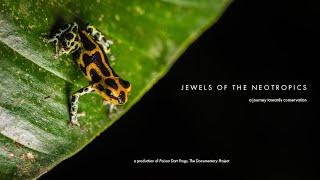 Jewels of the Neotropics