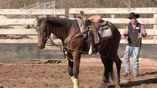 Ground Driving a Horse with Jesse Krier - Greatmats Horse Training Series