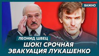 Швец о том, почему Грузия сдалась и что теперь ждет Молдову с Беларусью