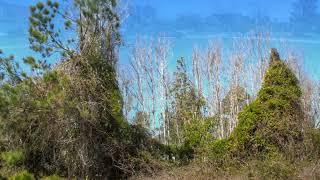 Homes for Sale - 207 Sandbar Ct, Newport, NC