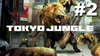 Tokyo Jungle Walkthrough - Part 2 - Survival Pomeranian Dog (Gameplay/Commentary PS3