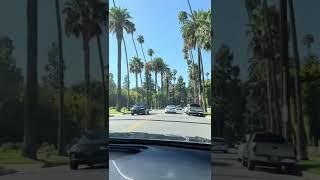 Benedict Canyon at Beverly Hills!#showinghouse #iloverealestate#roadtrip #roadtrees