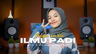 ILMU PADI - NAYLA FARDILA