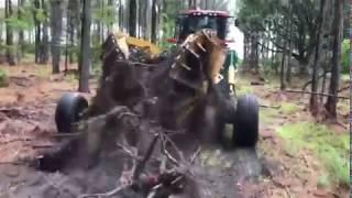 Скоростная корчевка пней // Pulling stumps