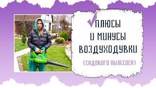 ПЛЮСЫ И МИНУСЫ ВОЗДУХОДУВКИ САДОВОГО ПЫЛЕСОСА