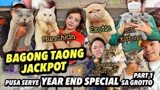 YEAR END PUSA SERYE SPECIAL PART 1 | GROTTO PET MARKET | DECEMBER 29, 2024